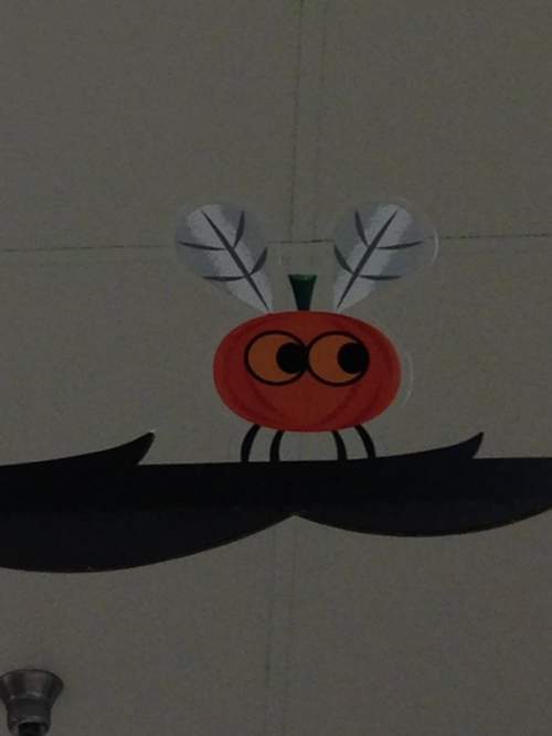SLOTH - Cutie Pie Pumpkin Fly cover 