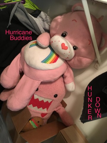 SLOTH - Hurricane Buddies Hunker Down!!! cover 