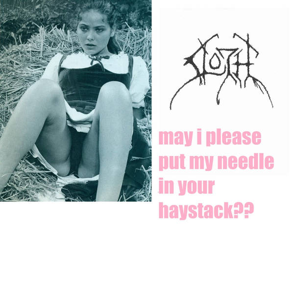 SLOTH - May I Please Put My Needle In Your Haystack​?​? cover 
