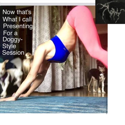 SLOTH - Now That's What I Call Presenting 4 A Doggy-style Session!!!! cover 