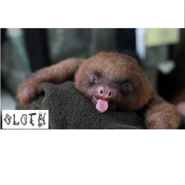 SLOTH - Pfffft​!​!​!​!​ (​11​/​22​/​16) cover 