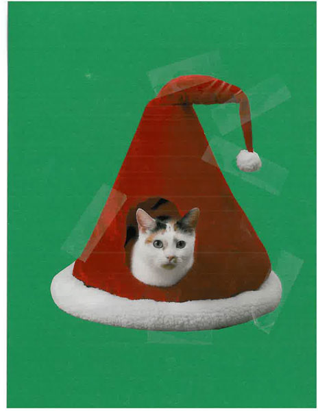 SLOTH - Santa's Hat Pet Cave cover 