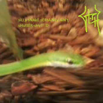 SLOTH - siLLy sNAkE sERtAiNLy AiN't sHuttER​-​sHy​!​! :D cover 