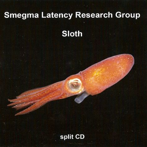 SLOTH - Split CD cover 