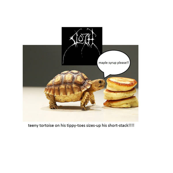 SLOTH - Teeny Tortoise On His Tippy​-Toes Sizes​-​Up His Short Stack​!​!​!​! cover 