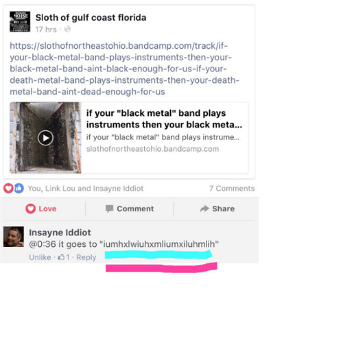 SLOTH - Thanks to Insayne Iddiot, the Sloth of Gulf Coast Florida Free Black Noise Duo has Changed It's Name To: Iumhxlwiuhxmliumxiluhmlih cover 