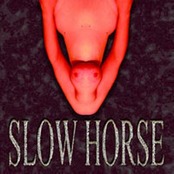 SLOW HORSE - II cover 