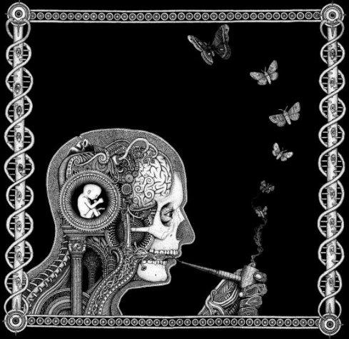 SOEN - Cognitive cover 