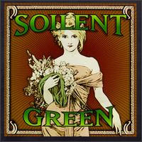SOILENT GREEN - A String Of Lies cover 