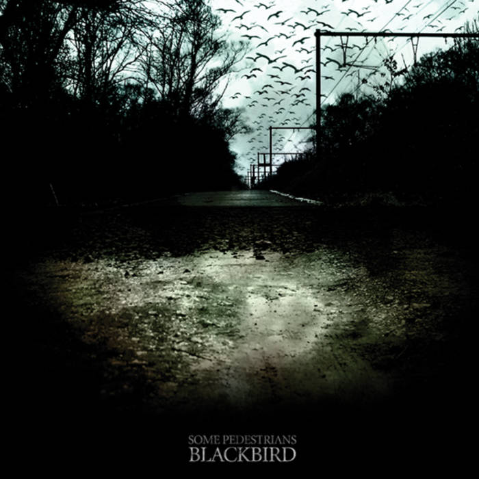 SOME PEDESTRIANS - Blackbird cover 