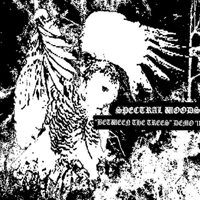SPECTRAL WOODS - Between The Trees cover 