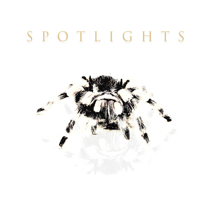 SPOTLIGHTS - Spiders cover 