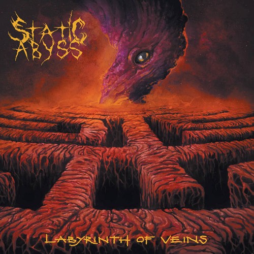 STATIC ABYSS - Labyrinth Of Veins cover 