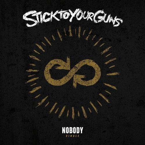 STICK TO YOUR GUNS - Nobody cover 