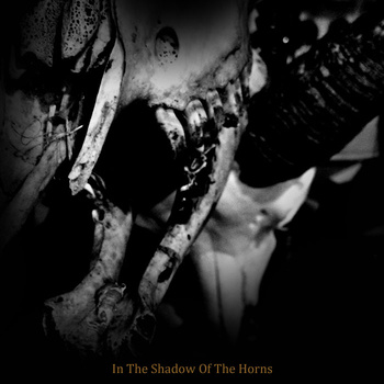STONE ANGELS - In The Shadow Of The Horns cover 