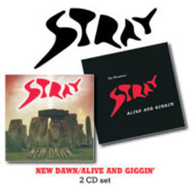 STRAY - New Dawn / Alive And Giggin' cover 