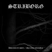STRIBORG - Black Desolate Winter / Depressive Hibernation cover 