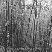 STRIBORG - Ghostwoodlands cover 