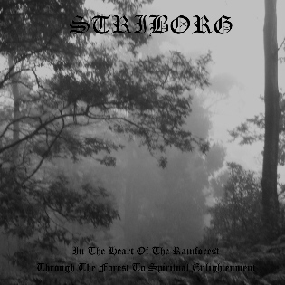 STRIBORG - In the Heart of the Rain Forest / Through the Forest to Spiritual Enlightenment cover 