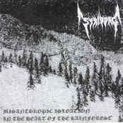 STRIBORG - Misanthropic Isolation + In the Heart of the Rainforest cover 
