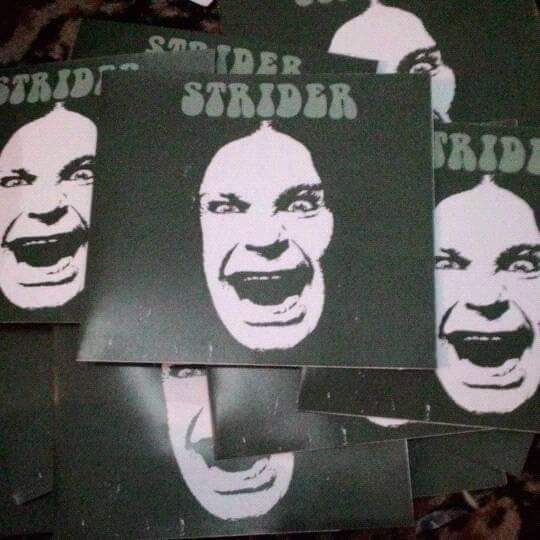 STRIDER - Strider cover 