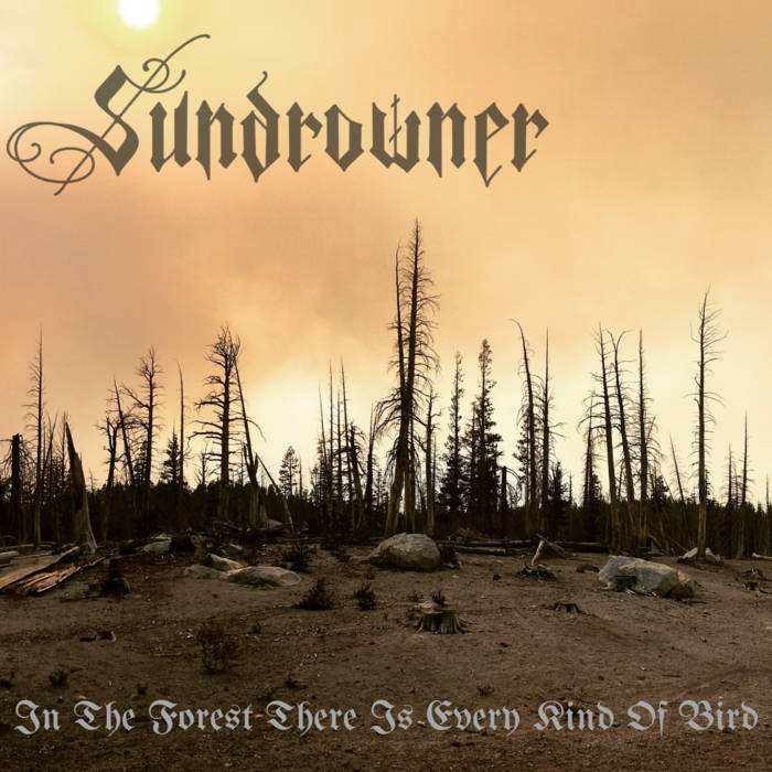 SUNDROWNER - In The Forest There Is Every Kind Of Bird cover 