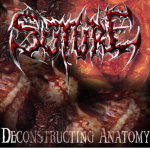 SUTURE - Deconstructing Anatomy cover 