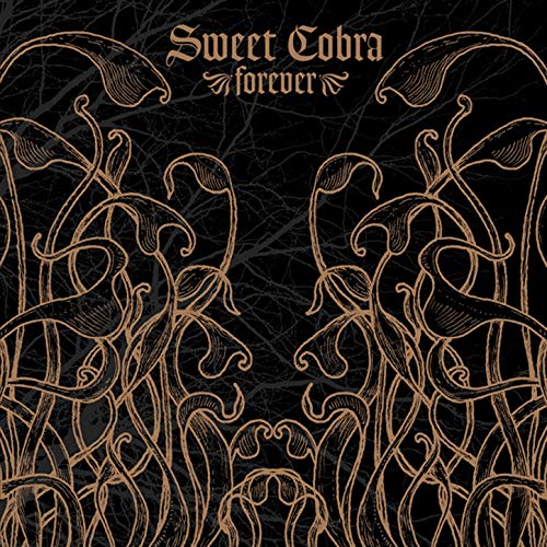 SWEET COBRA - Forever cover 