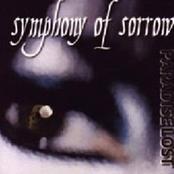 SYMPHONY OF SORROW - Paradise Lost cover 