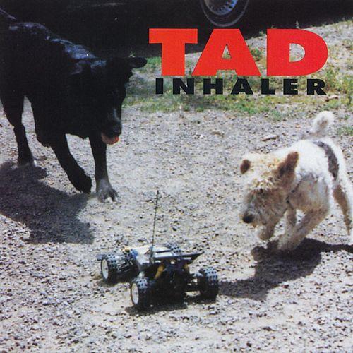 TAD - Inhaler cover 