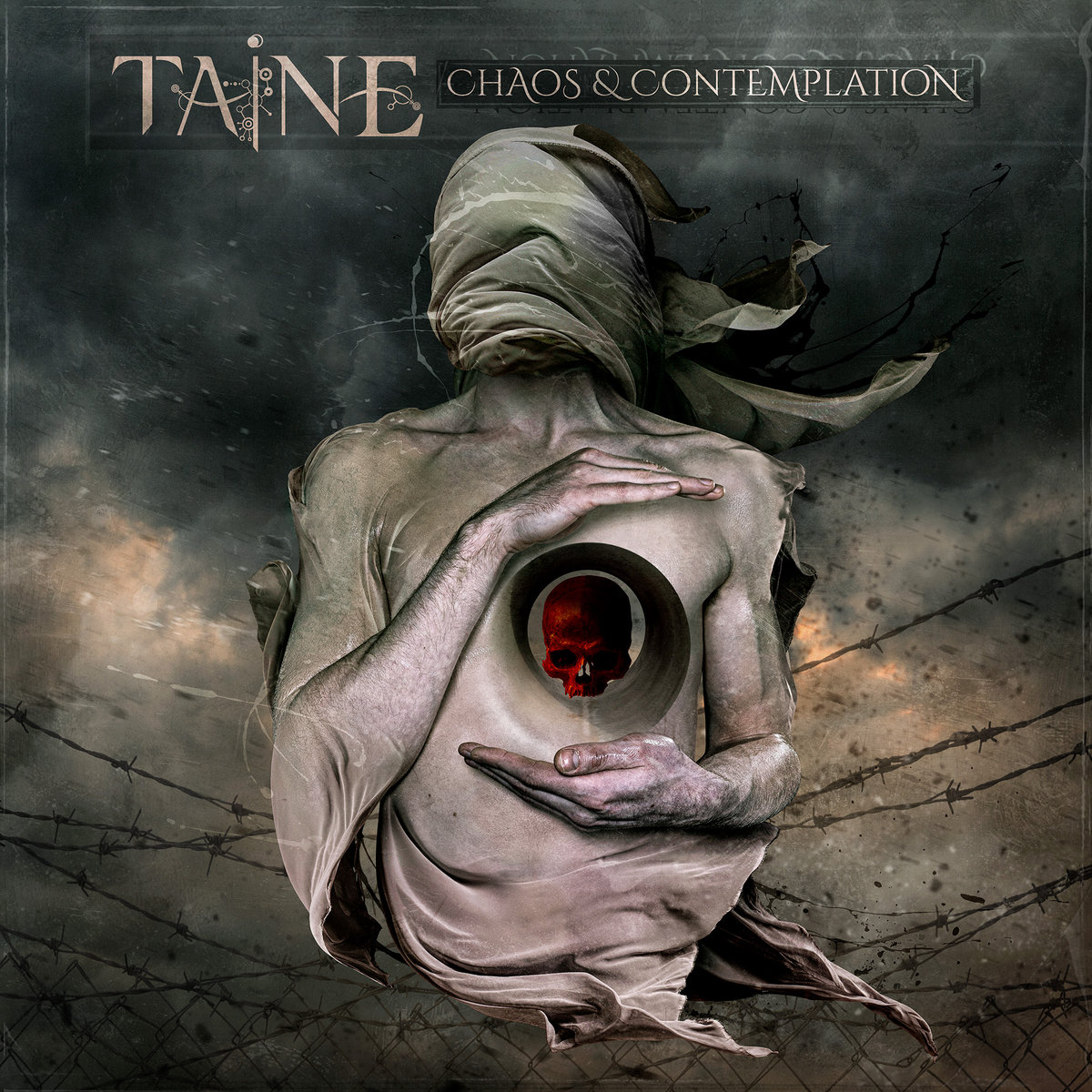 TAINE - Chaos & Contemplation cover 