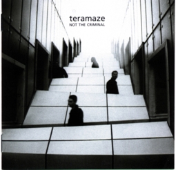 TERAMAZE - Not the Criminal cover 
