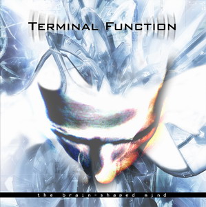TERMINAL FUNCTION - The Brainshaped Mind cover 