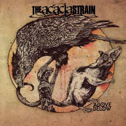 THE ACACIA STRAIN - Above - Below cover 
