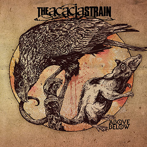 THE ACACIA STRAIN - Above/Below cover 