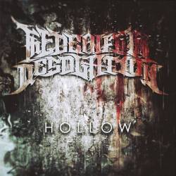 THE BEAUTY OF DESOLATION - Hollow cover 