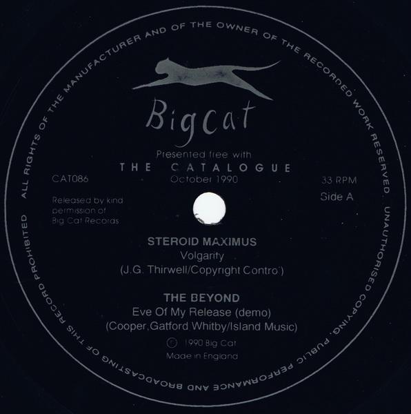 THE BEYOND - Big Cat Records Flexi cover 