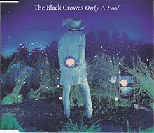 THE BLACK CROWES - Only a Fool cover 