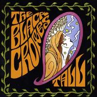 THE BLACK CROWES - The Lost Crowes cover 