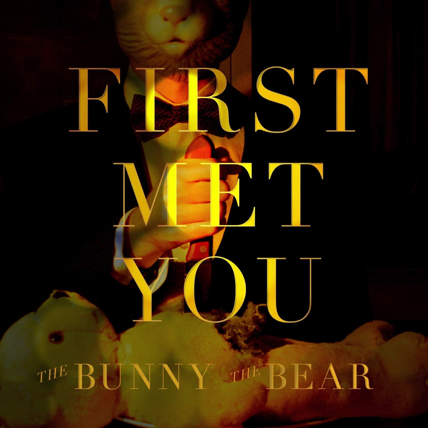 THE BUNNY THE BEAR - First Met You cover 