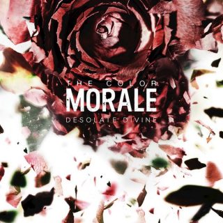 THE COLOR MORALE - Desolate Divine cover 
