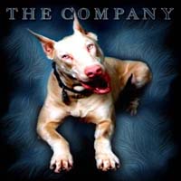THE COMPANY - Awaking Under Dogs cover 