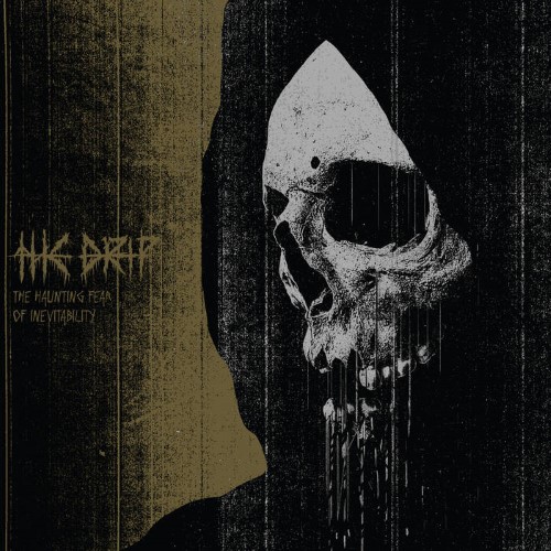 THE DRIP - The Haunting Fear of Inevitability cover 