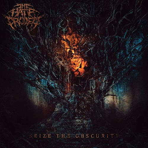 THE HATE PROJECT - Seize The Obscurity cover 