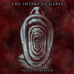 THE INTAKE OF GLASS - Voice Of Reason cover 