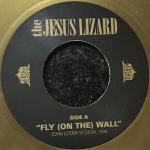 THE JESUS LIZARD - Fly (On The) Wall / Elegy cover 