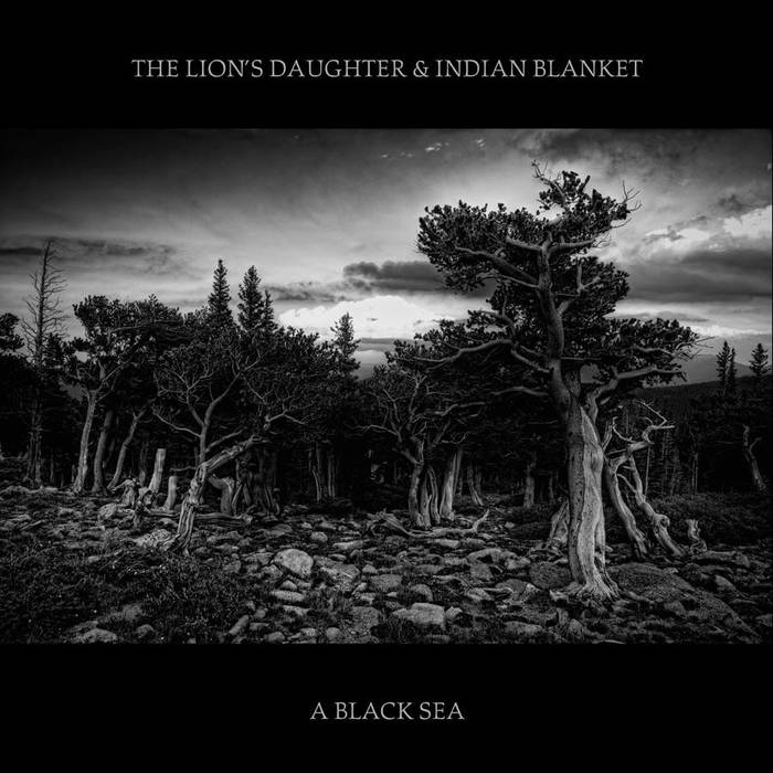 THE LION'S DAUGHTER - A Black Sea cover 