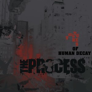 THE PROCESS - Vultures Of Human Decay cover 