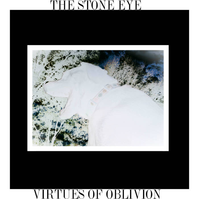 THE STONE EYE - Virtues Of Oblivion cover 