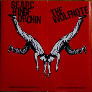 THE WOLFNOTE - Siamesetwinsymmetry cover 